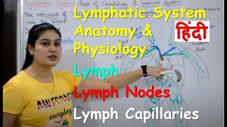 Lymphatic System in Hindi  Lymph  Lymph Nodes  Lymph Vessels  Anatomy amp Physiology [upl. by Adoree]