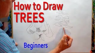 How to Draw Trees  Simply [upl. by Lorenzana]