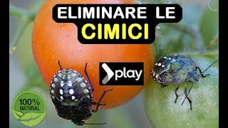 ELIMINARE LE CIMICI [upl. by Kidder]