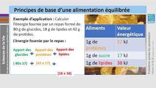 Biologie Determiner les depenses energetiques [upl. by Atirys]