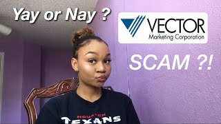 VECTOR MARKETING  CUTCO A SCAM [upl. by Ridglea407]