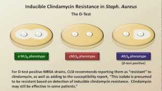 Antibiotic Resistance Antibiotics  Lecture 9 [upl. by Saba560]