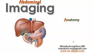 Abdominal radiological anatomy DRE Prof Mamdouh Mahfouz [upl. by Prisilla]