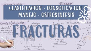 FRACTURA CONSOLIDACION OSTEOSINTESIS YESO CALLOBLANDO CALLODURO [upl. by Gardie]