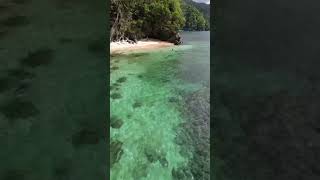 Lovers bay Tobago 🇹🇹 caribbean tobago travel youtubeshorts beach trinidad lovers beaches [upl. by Eilema]