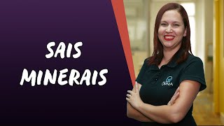 Sais Minerais  Brasil Escola [upl. by Gaves]