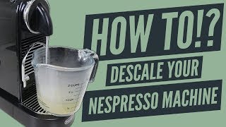 HOW TO  Descale Your Nespresso OriginalLine Coffee Machine [upl. by Kcirdorb]