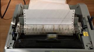 How to print a self test on an Epson FX 890 dot matrix printer [upl. by Nosirrag]