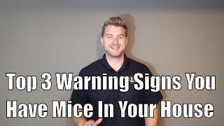 Top 3 Warning Signs You Have Mice In Your House [upl. by Reivaj490]