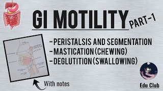 GI Motility Part  1  Chewing Reflex  Deglutition  Gastrointestinal Physiology [upl. by Dagny]