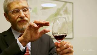 Intensive Sommelier Training Exclusively Available at ICE [upl. by Assirk]