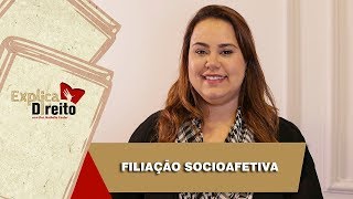 Explica Direito Filiação Socioafetiva  2019 [upl. by Aisyram]