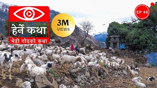 भेडी गोठको कथा  Bhedi Gothko Katha  Herne Katha EP48 [upl. by Domph]