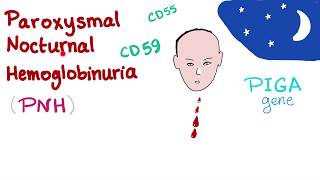 The Coagulation Cascade  Intrinsic amp Extrinsic Most COMPREHENSIVE Explanation  Hematology [upl. by Nollie]