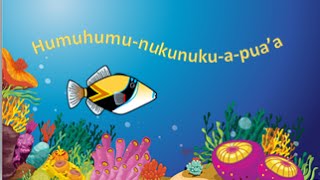 Humuhumunukunukuapua’a Humu Song [upl. by Alemat]