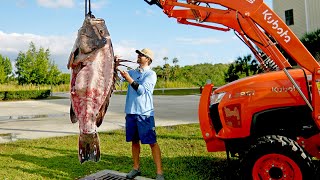 How to Clean and Cook a 300lb Grouper [upl. by Thurber]