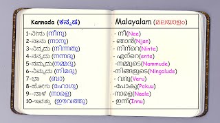 100 Useful Words in Malayalam and Kannada  Easy Kannada Malayalam Lesson Part 1 [upl. by Sension]