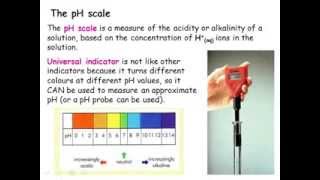 IGCSE Chemistry Acids Bases and Salts [upl. by Garald511]