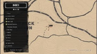 Red Dead Redemption 2 Sadie Harmonica Location for Errand Boy Trophy  Achievement [upl. by Kehoe449]