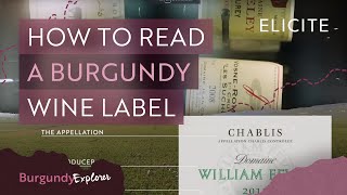 How To Read A Burgundy Wine Label [upl. by Gnouhc]