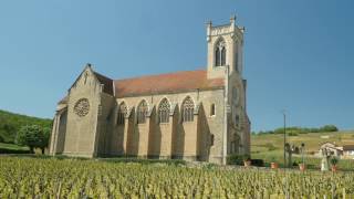 The Wines of Burgundy [upl. by Gallagher963]