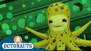 Octonauts  Friendly Octopus  Cartoons for Kids  Underwater Sea Education [upl. by Gunar]