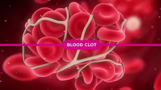 Coagulation Cascade Explained [upl. by Suirradal]