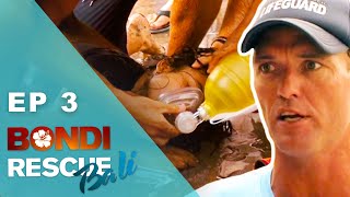 Bravest Patients On Bondi Rescue Ever [upl. by Ahsaele232]