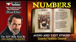 4  Book of Numbers  Read by Alexander Scourby  The GREATEST VOICE Ever Recorded [upl. by Jay]