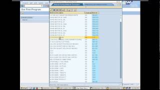 Creating our first report program in SAP  Day 4 [upl. by Aura]