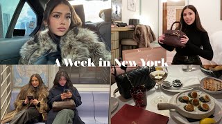 A Week in New York City with friends [upl. by Ecirtel139]