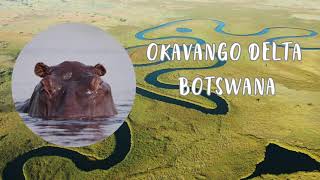 Okavango Delta  Botswana [upl. by Gaw947]