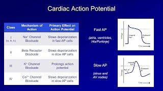 Arrhythmia overview  Types  Diagnosis and treatment [upl. by Nebe995]