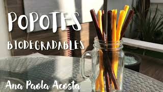 ¿Como hacer popotes biodegradables con mandarinas y plátanos [upl. by Jana878]