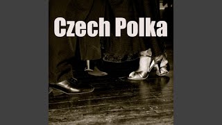 Praha Polka [upl. by Aneeles]