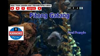 Pitong Gatang  FRED PANOPIO KARAOKE [upl. by Drusi]