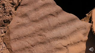 Primary Sedimentary Structures [upl. by Nelra274]