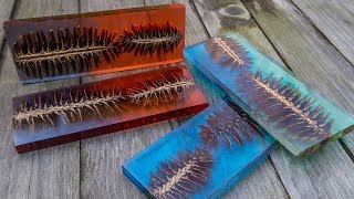 DIY Pine Cone And Resin Scale  Blank [upl. by Pippas]