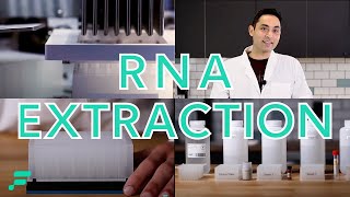 RNA Extraction Demonstration [upl. by Shippee]