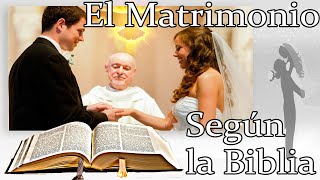 Todo acerca de el Matrimonio Según la Biblia El Amor Padre Luis Toro [upl. by Asenaj]