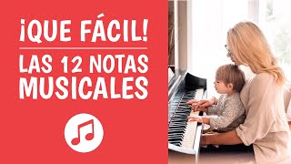 Las 12 NOTAS MUSICALES Explicadas ¡Así de Simple [upl. by Gaidano]