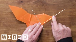 How to Fold Five Incredible Paper Airplanes  WIRED [upl. by Darken]