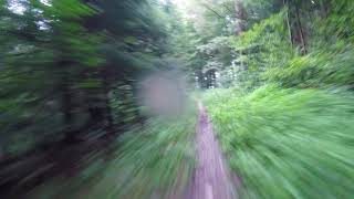 Uetliberg Antennentrail Beginner mode [upl. by Bing]