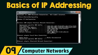 Basics of IP Addressing [upl. by Acira]