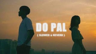 Do Pal Ruka Khabo Ka Karwa 💓 SlowedReverb  Lata Mangeshkar  Sonu Nigam  Apna lofi song [upl. by Dorrahs]