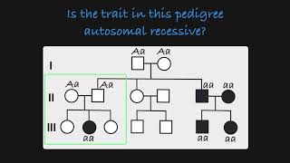 Autosomal Recessive vs Autosomal Dominance [upl. by Nehttam]