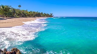 Dominican Beach with Waves Rolling  Natural Background With Ocean Sounds [upl. by Danita891]