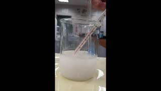 Sodium hydroxide dissolving in water [upl. by Zurkow]