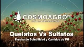 Demostración técnica de Quelatos Cosmoagro [upl. by Laud]