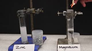 Making Salts From Acids amp Metals GCSE Chemistry [upl. by Hpejsoj586]